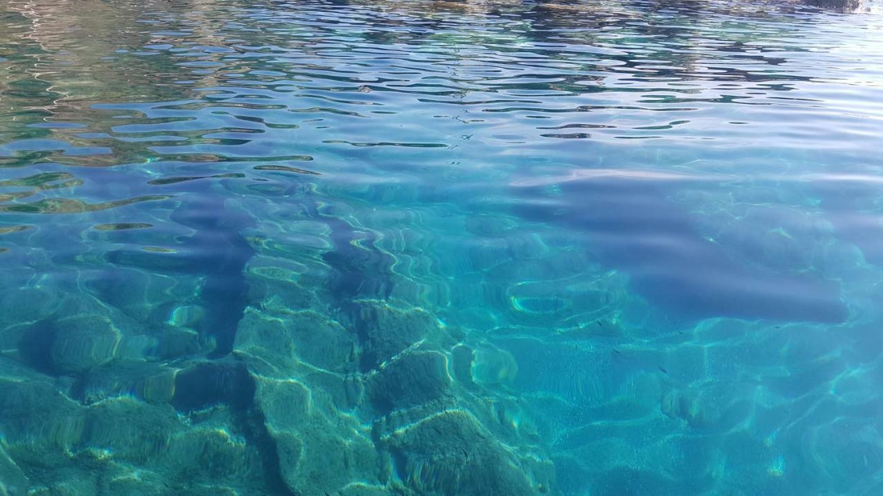 Appartamento Casa Michelina Belvedere Marittimo Esterno foto